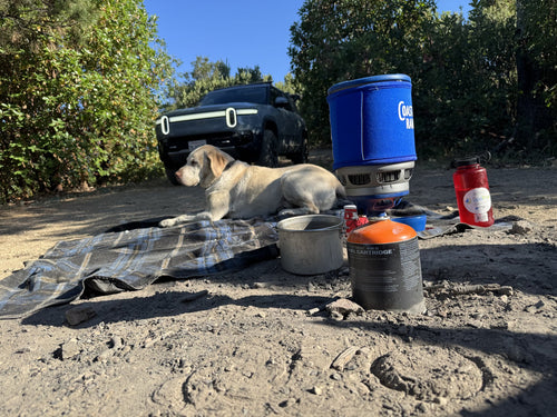 The Backpacker stove beside a resting yellow Labrador with an off-road vehicle behind