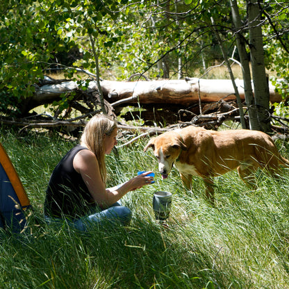 Backpacker camping stove