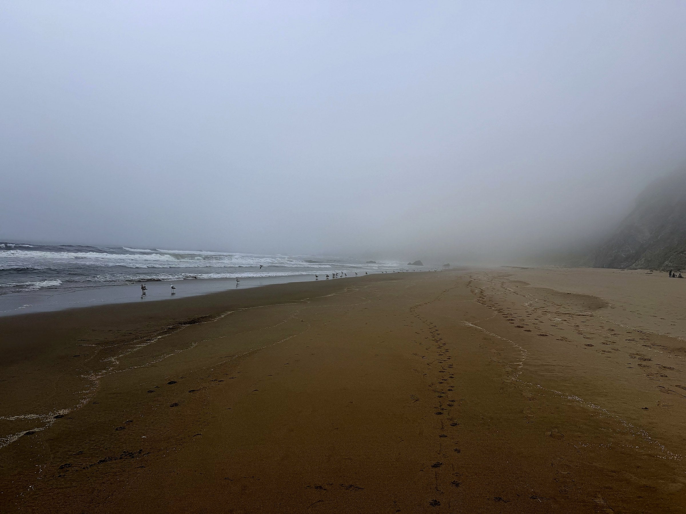 Footprints in the sand on a misty California's Kehoe beach with fog over the headland and surf. Point Reyes National Sea Shore