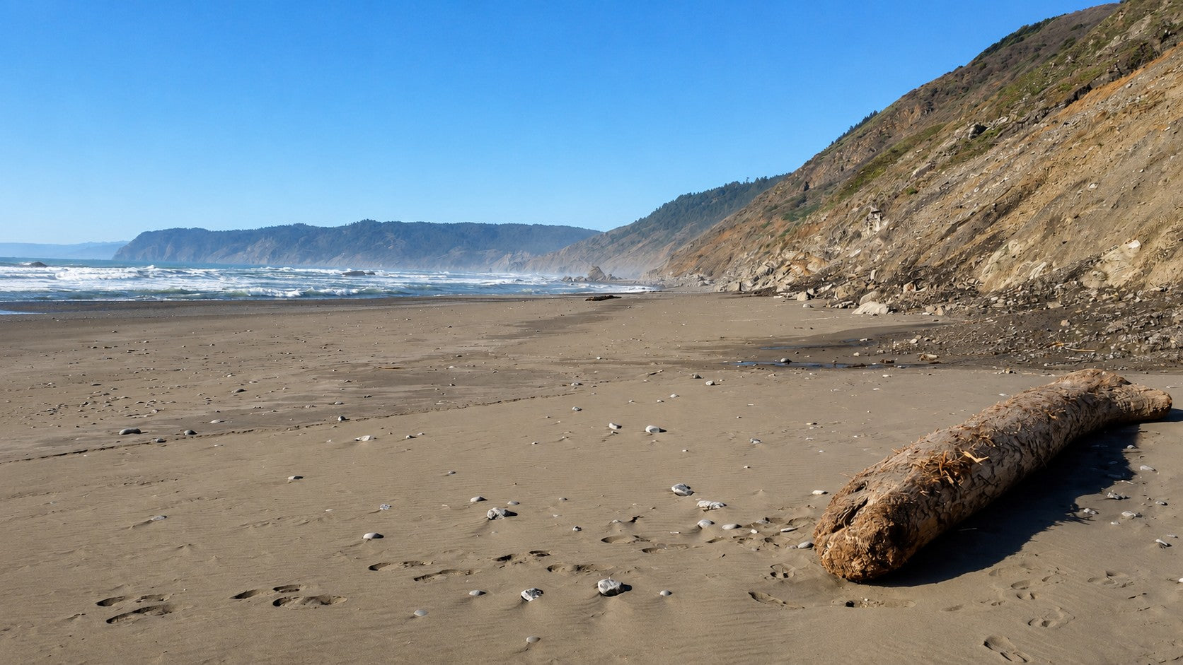 A wide sandy California beach with driftwood, coastal bluffs, and ocean waves under a clear sky
